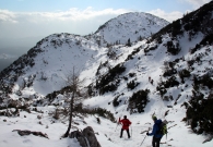 _MG_5196_resize.JPG