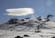_MG_5229_resize.JPG