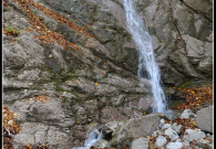 DSC5990-copyOutput01