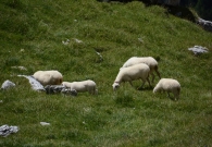 DSC_0672.JPG